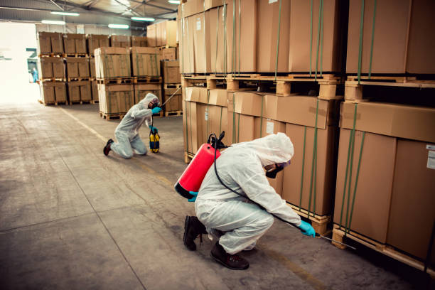 Best Residential Pest Control  in Temple, GA