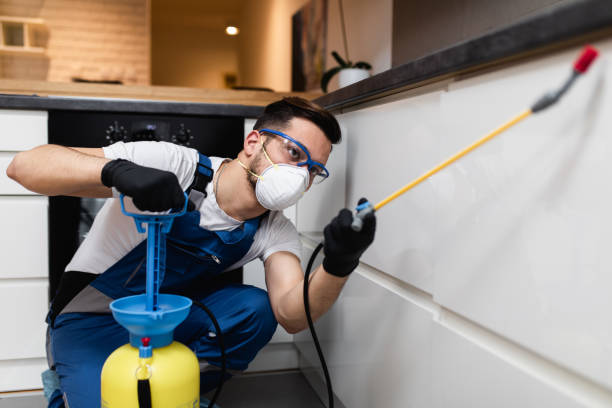 Best Cockroach Control Services  in Temple, GA