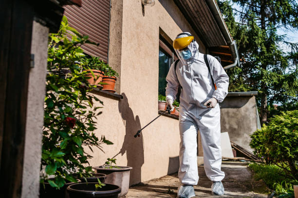 Best Wasp Removal Services  in Temple, GA
