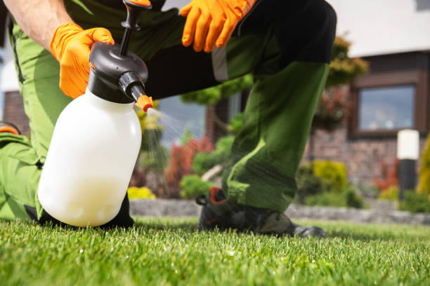 Best Local Pest Control Services  in Temple, GA