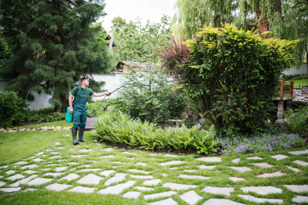 Trusted Temple, GA Pest Control Experts
