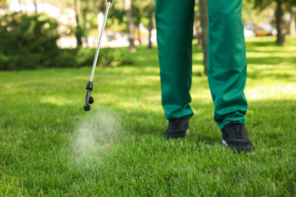Best Exterminator Services  in Temple, GA