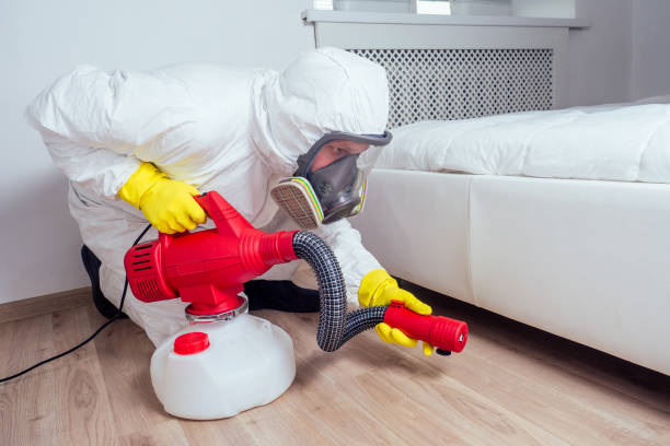 Pest Control Cost in Temple, GA