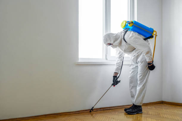 Flea Control Services in Temple, GA