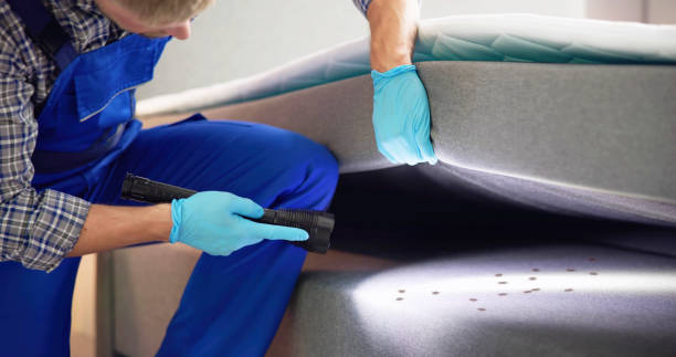 Best Best Pest Control Companies  in Temple, GA